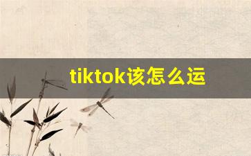 tiktok该怎么运营_tiktok dau